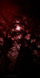 シ♡ 𝕃𝕆𝕍𝔼 𝕆𝔽 𝕋𝕎𝕆 𝔽ℝ𝕀𝔼ℕ𝔻𝕊 ❦